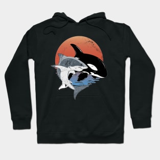 Orca and Great White Hoodie